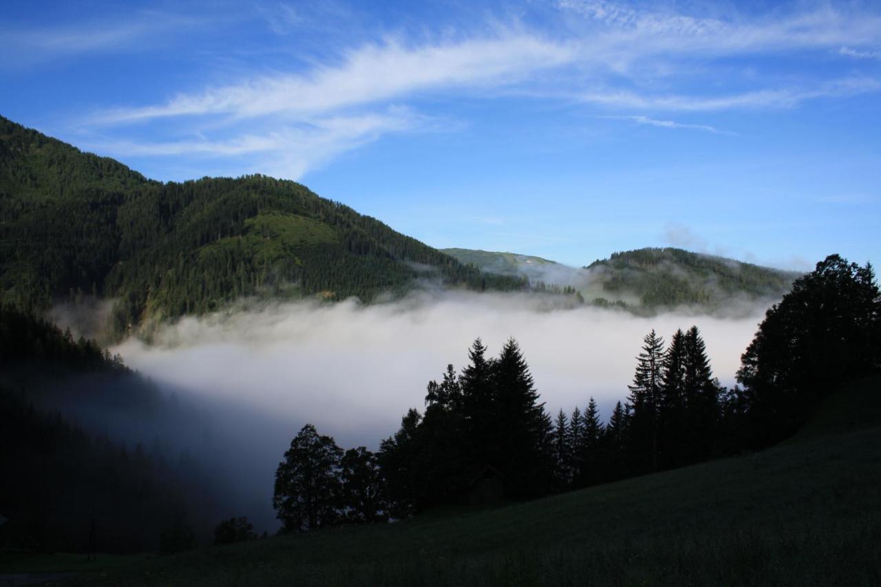 Grassbichlhof Villa Altenmarkt im Pongau Exteriör bild